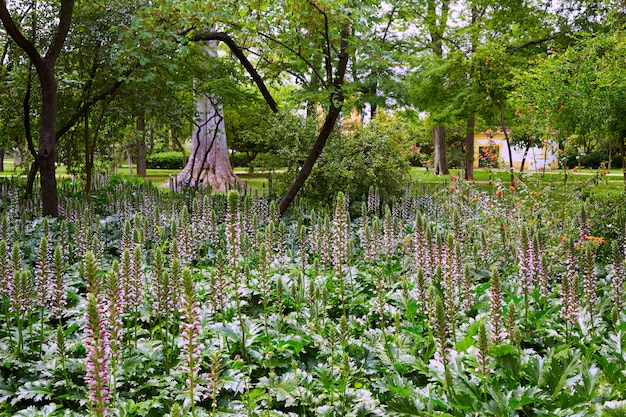 seville maria luisa park gardens spain