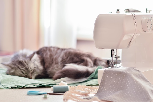 Macchina da cucire in tessuto e filo con treccia in pizzo di cotone e gatto addormentato