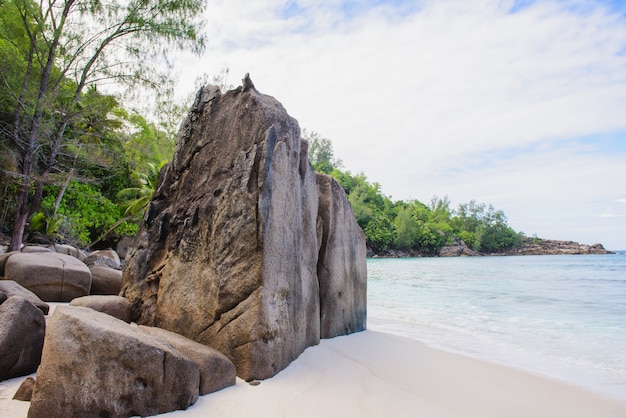 Costa delle seychelles con roccia, nessuna gente.