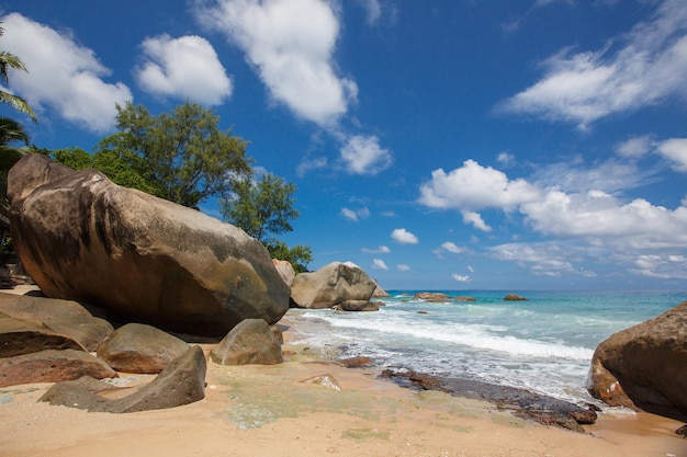 Carta da parati spiaggia delle seychelles