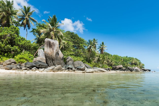 Costa delle seychelles con grandi rocce e verdi