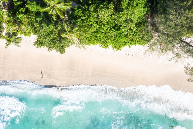 Seychelles takamaka beach sea waves vacation ocean drone view\
aerial photo copyspace