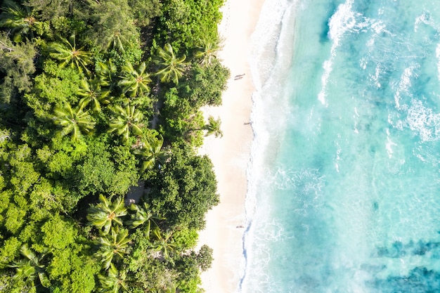 Seychelles takamaka beach sea waves vacation ocean drone view\
aerial photo