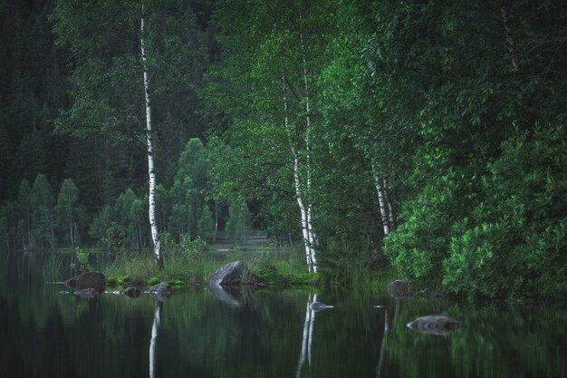 Sfanta ana lake in a summer morning