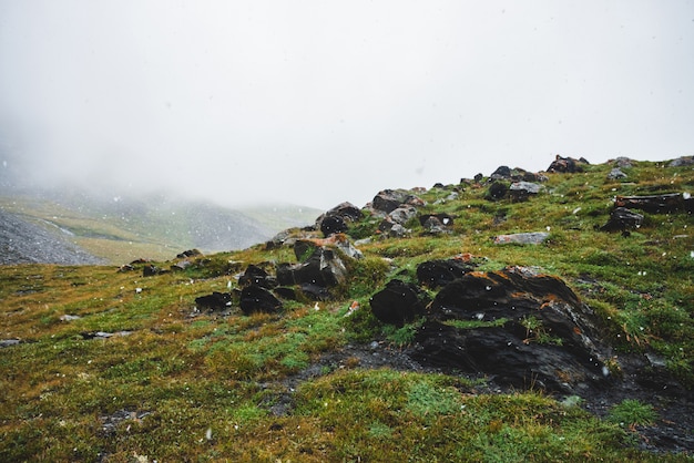 Sfeervol groen alpenlandschap met prachtige sneeuwval.