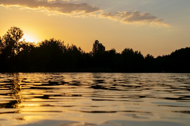 Sfeervolle zonsondergang achter bomen en reflectie in water