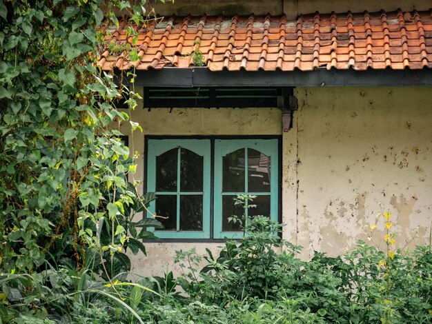 Foto finestre disordinate su un vecchio edificio abbandonato erba selvatica che li circonda