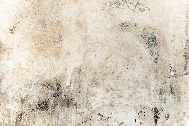 Shabby witte en beige stenen muur met scheuren textuur
