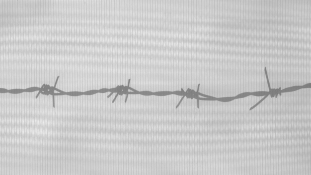 Shadow of the barbed wire on white canvas