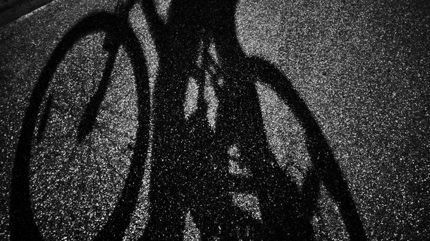 Photo shadow of bicycle on road