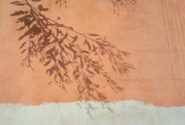 Shadow of a branch with leaves on a painted wall