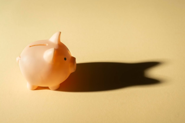 The shadow falls from the pig piggy bank.