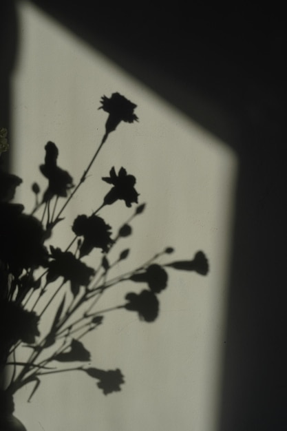 A shadow of flowers on a wall with the sun shining on it.