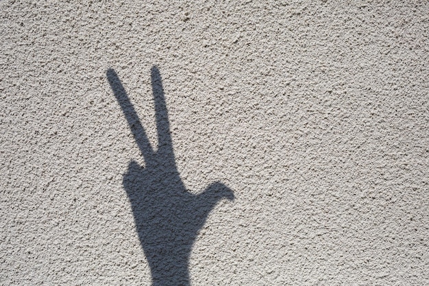 Shadow from the hand on the pavement Shadow play on a sunny day