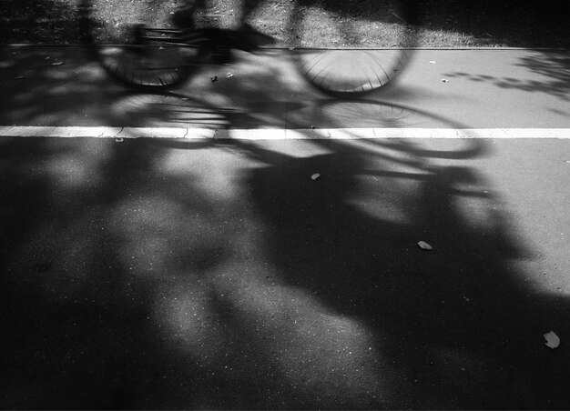 Shadow from moving cyclist background