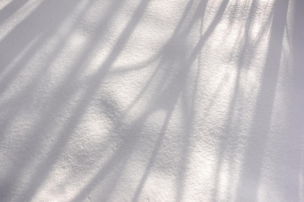 Shadow from the shrubs and trees in fresh white snow from the sun