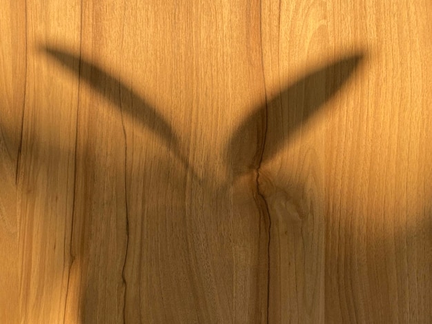 Shadow of horns on a wooden wall