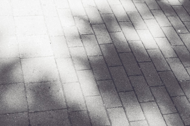 Shadow of leaf tree on brick ground