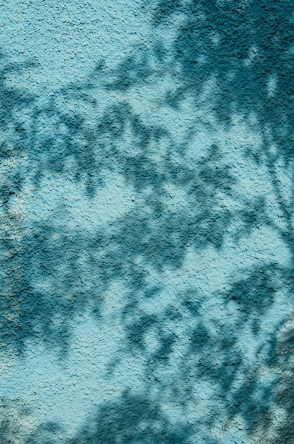 Shadow of the leaves on a blue wall Image