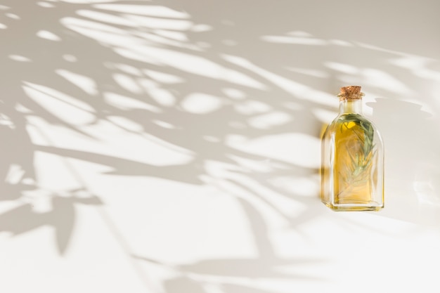 Shadow of leaves on wall with closed olive oil bottle