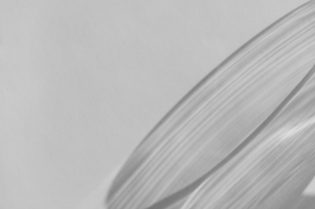 흰 벽 오버레이의 그림자 및 빛 굴절 유리 및 프리즘을 통해 굴절되는 태양 광선 흐릿한 부식 효과 빈 표면의 자연광 굴절 실루엣xA