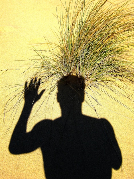 Foto ombra di un uomo sul campo durante una giornata di sole