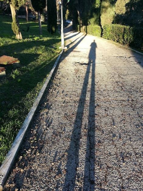 Shadow of man on footpath at park