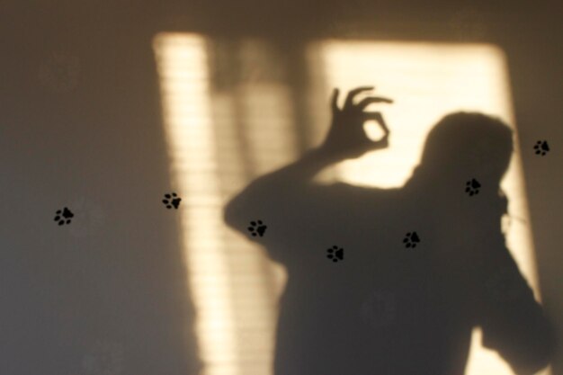 Photo shadow of man gesturing on wall