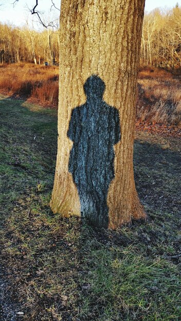 Foto l'ombra dell'uomo sul terreno