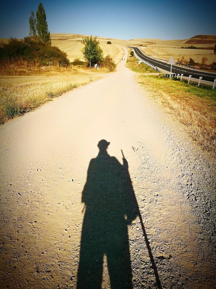 Photo 도로 위의 사람의 그림자