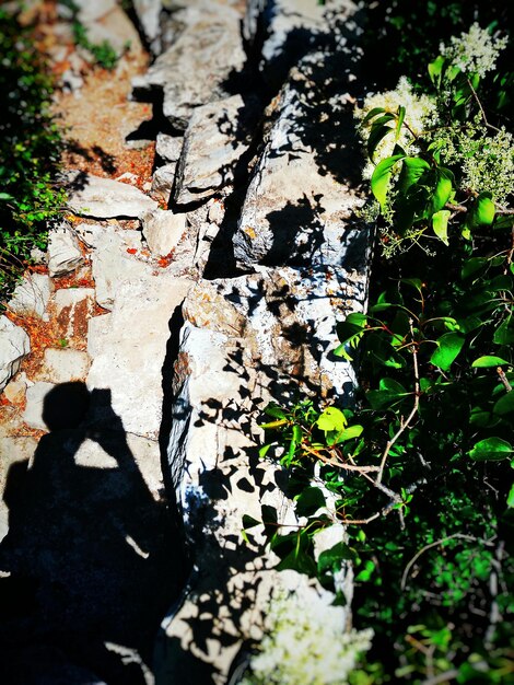 Foto ombra di un uomo sulle rocce