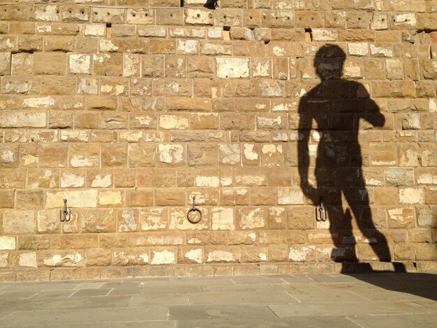 Shadow of man walking on brick wall