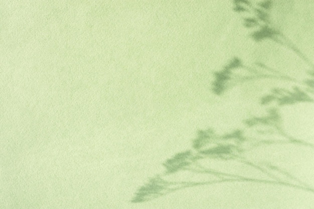 Shadow natural background of flowers on light green paper