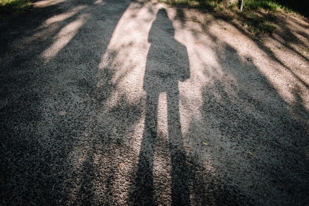 写真 道路上の女性の影