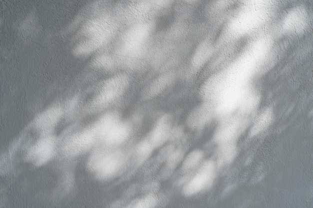 写真 写真の影オーバーレイ効果 日光の下で白い壁に木の葉や熱帯の枝からの影