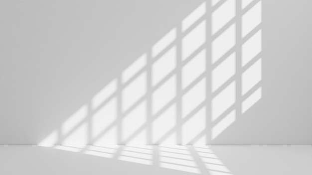 Shadow overlay from window and plant on white wall background