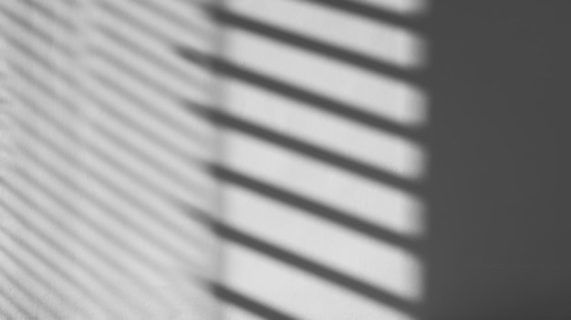 Photo shadow overlays window light shadow on the wall overlay sun shadows play