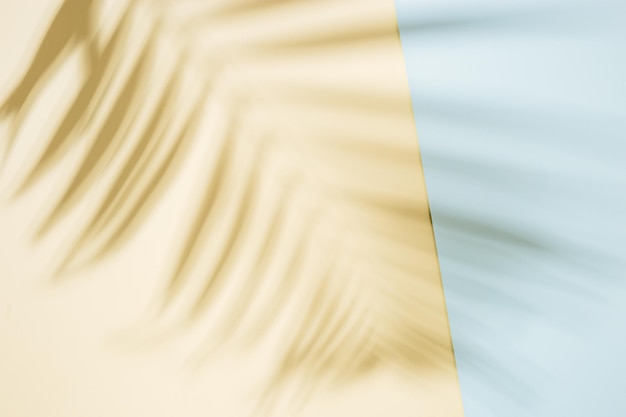 shadow of palm tree leaf on sand and blue colored background summer minimal concept