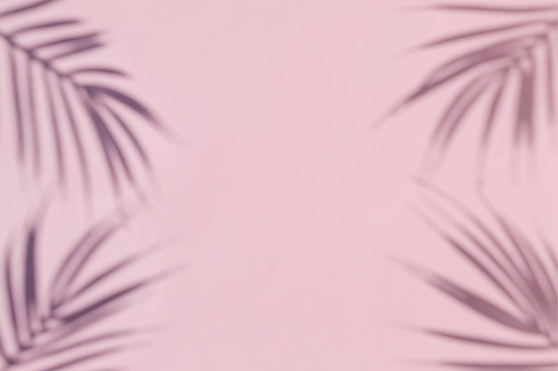 The shadow of a palm tree on a pink background. Minimal modern concept.