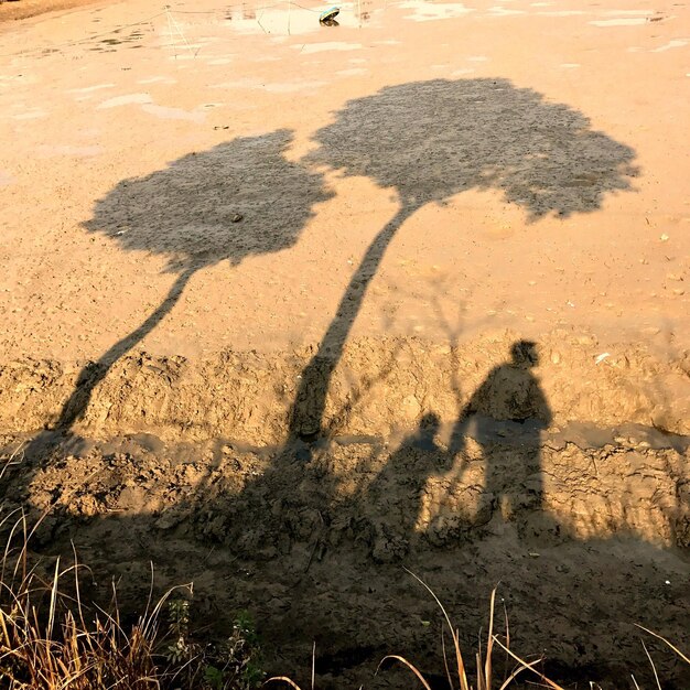 Foto ombra di persone sul campo