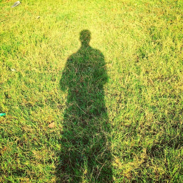 Shadow of people on grassy field