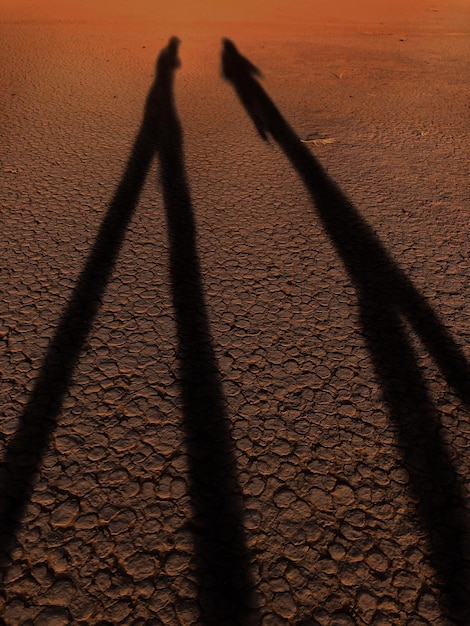 Photo shadow of people on land