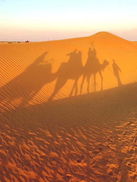 Foto ombra di persone che cavalcano nel deserto