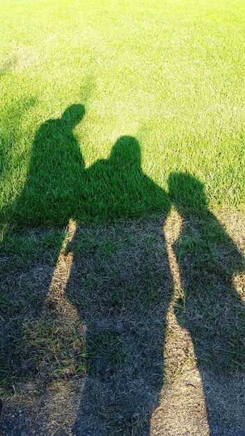 Photo shadow of people standing on grassy field