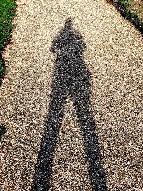 Foto ombra di una persona sulla strada