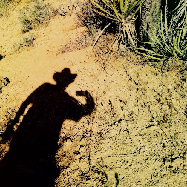 Foto ombra di una persona sul muro