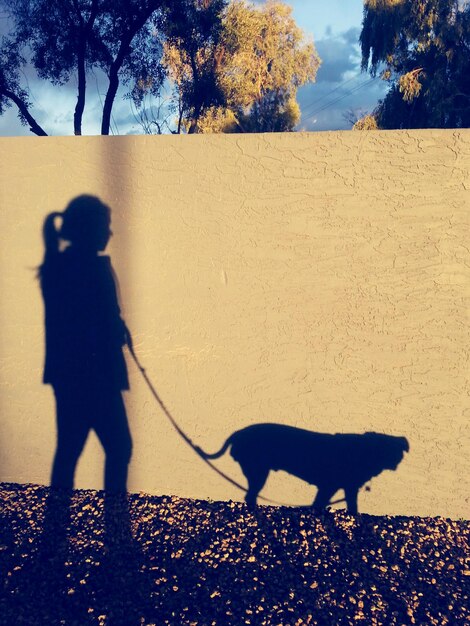 Photo shadow of person with dog against sky