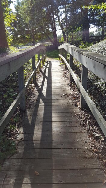 Shadow of railing on grass