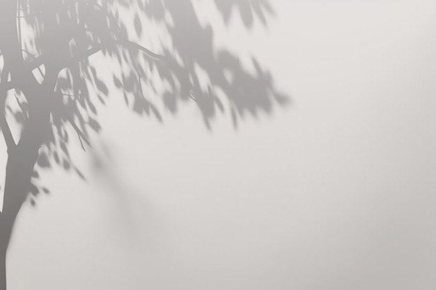 Foto l'ombra di un albero su un muro bianco