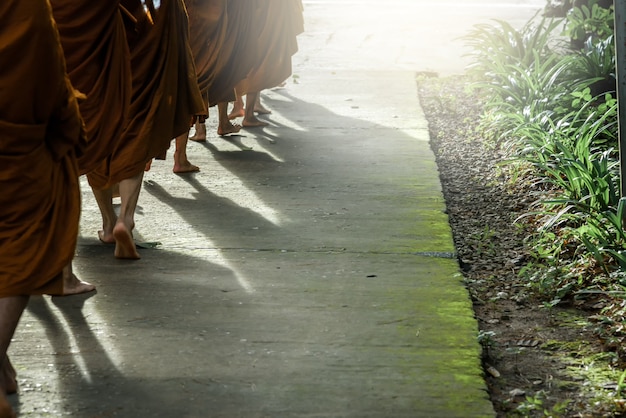 Shadow of walking monks